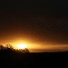 Sonnenuntergang - Nordsee