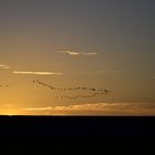 Sonnenuntergang Nordsee