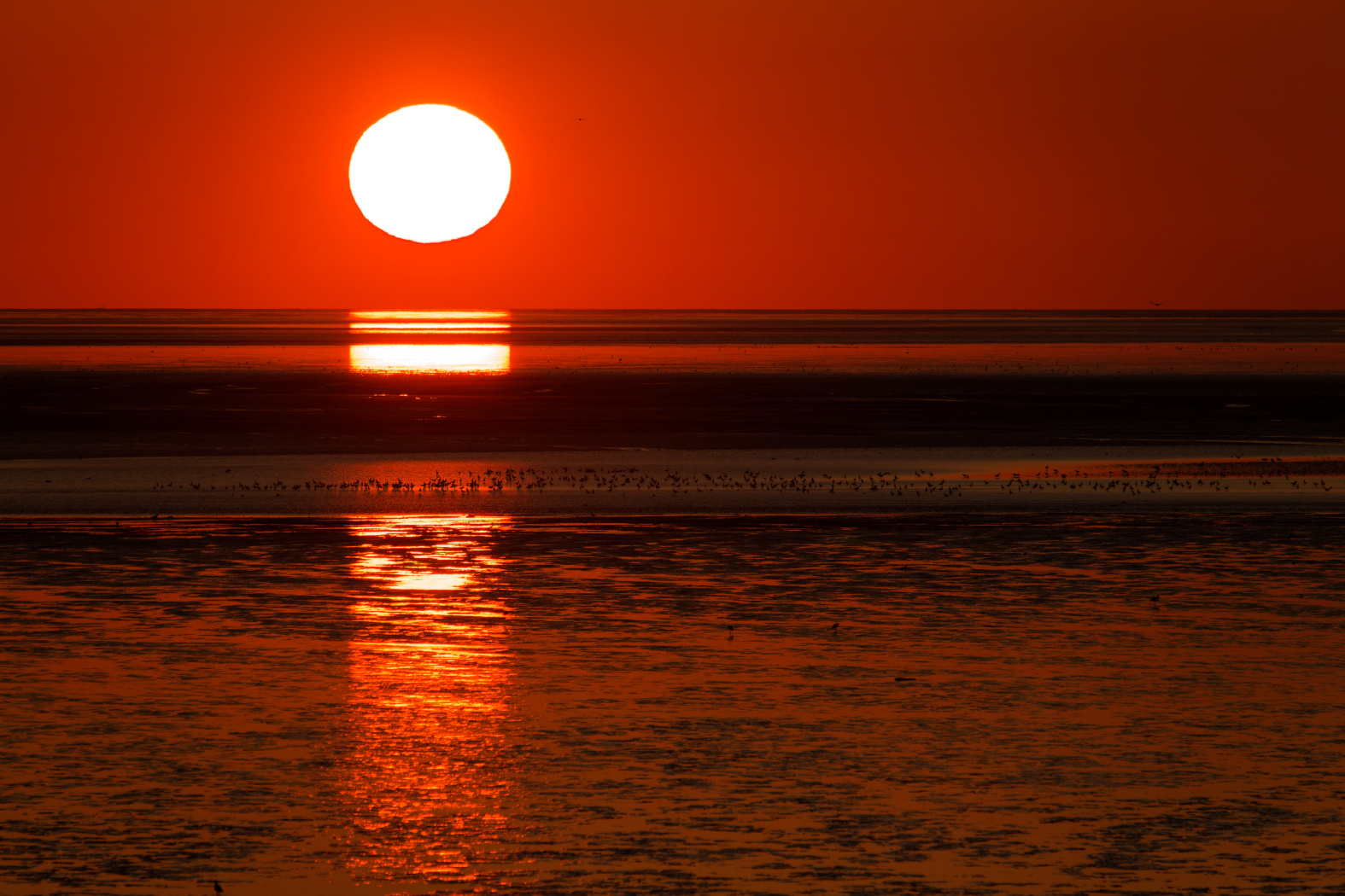 Sonnenuntergang Nordsee1C4A0771