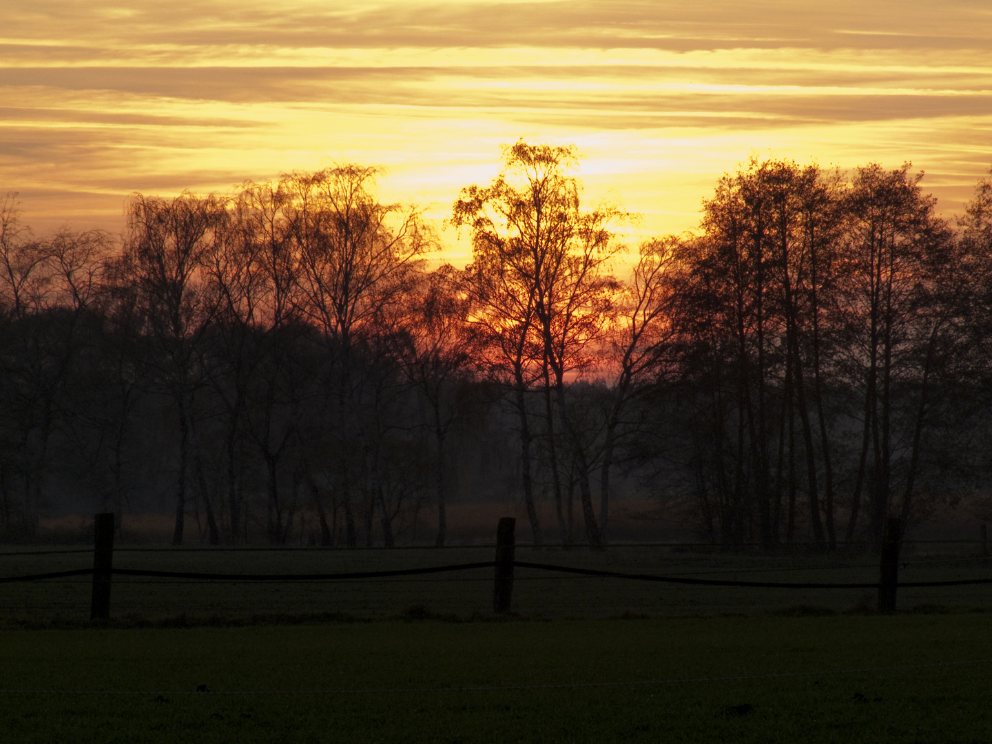 Sonnenuntergang (November 2011)