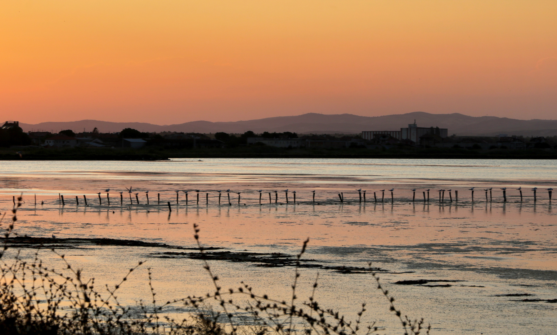 Sonnenuntergang Nr.: 9194201808301035