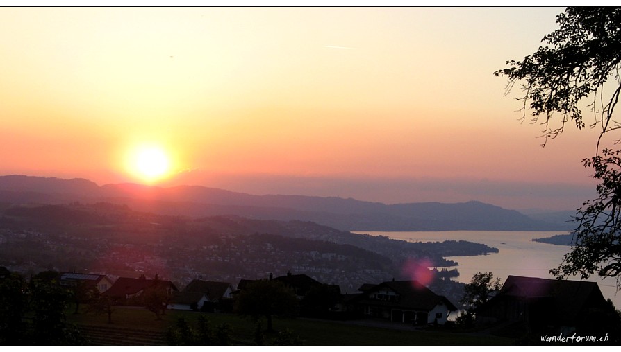 Sonnenuntergang oberhalb vom  Zürichsee