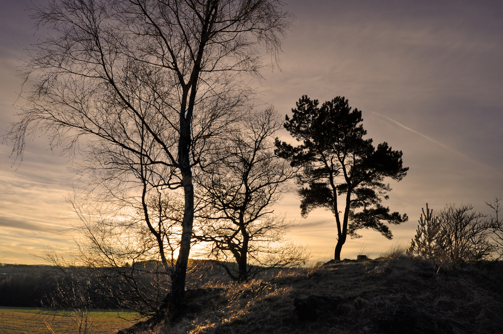 Sonnenuntergang oberhalb von Wildbach