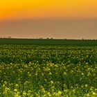 Sonnenuntergang Odendorf/Voreifel