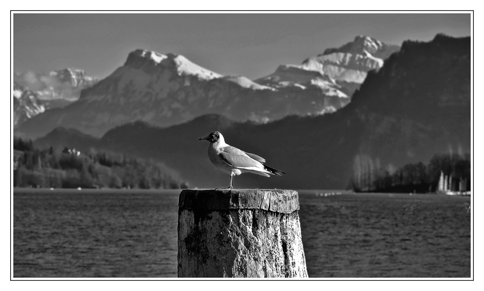 Sonnenuntergang oder Abendsonne am Vierwaldstättersee / CH