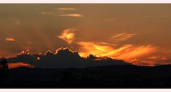 Sonnenuntergang oder der schräge Vogel