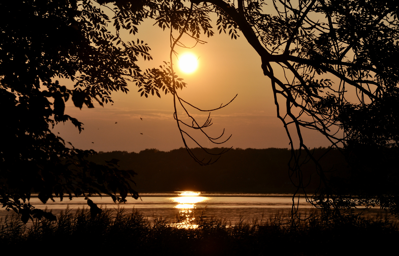 Sonnenuntergang oder Tagesschau?