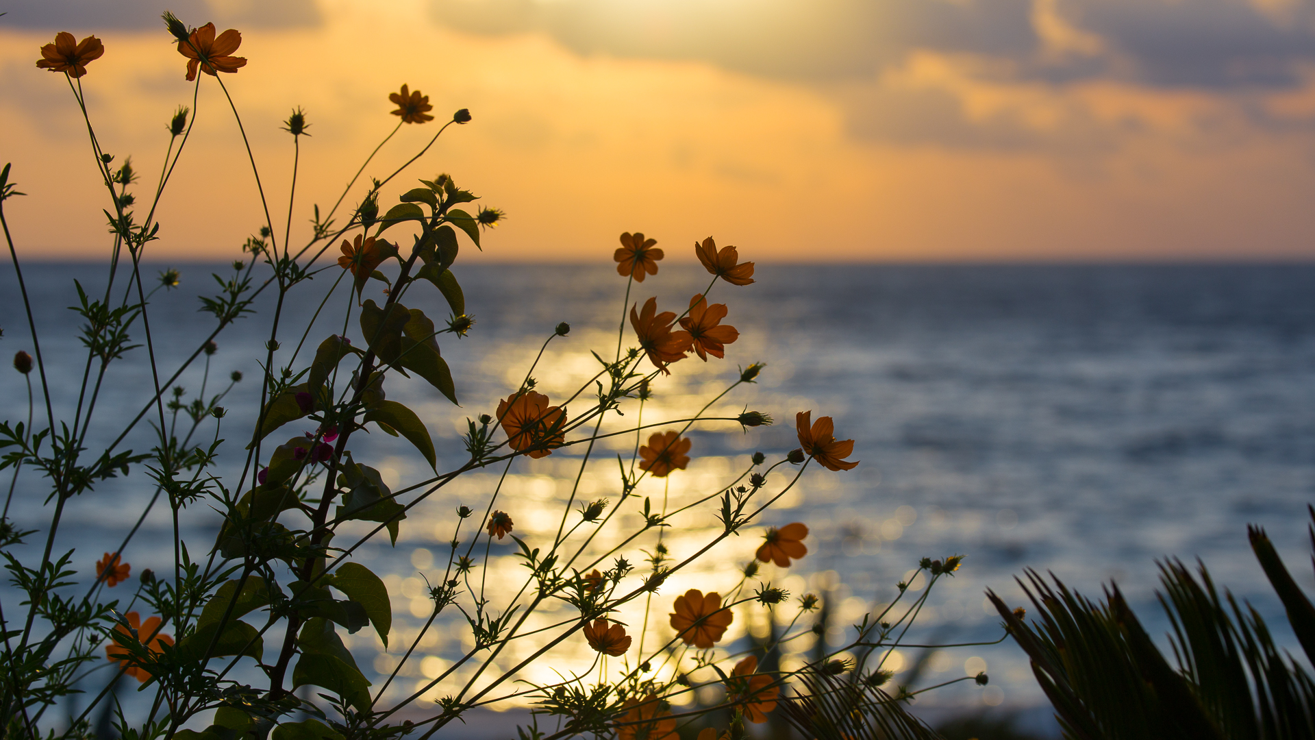 Sonnenuntergang  Ölüdeniz 