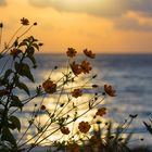 Sonnenuntergang  Ölüdeniz 