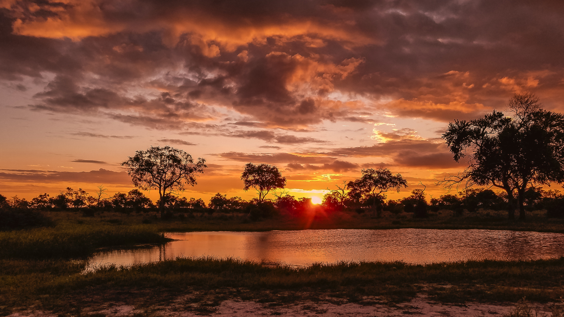 Sonnenuntergang - Okavango-Delta