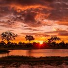 Sonnenuntergang - Okavango-Delta