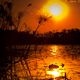 Sonnenuntergang Okavango Delta