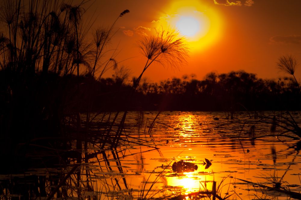 Sonnenuntergang Okavango Delta von Thilo Jahr 