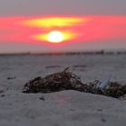 Sonnenuntergang Ostsee