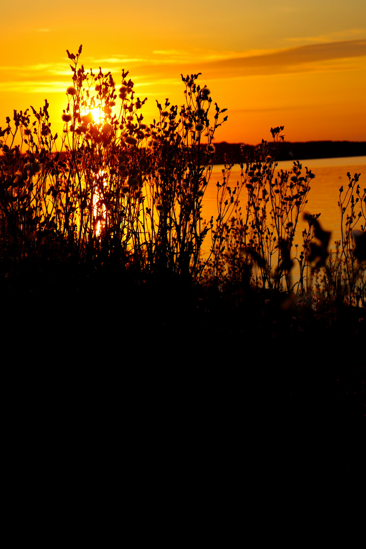 Sonnenuntergang & Ostsee