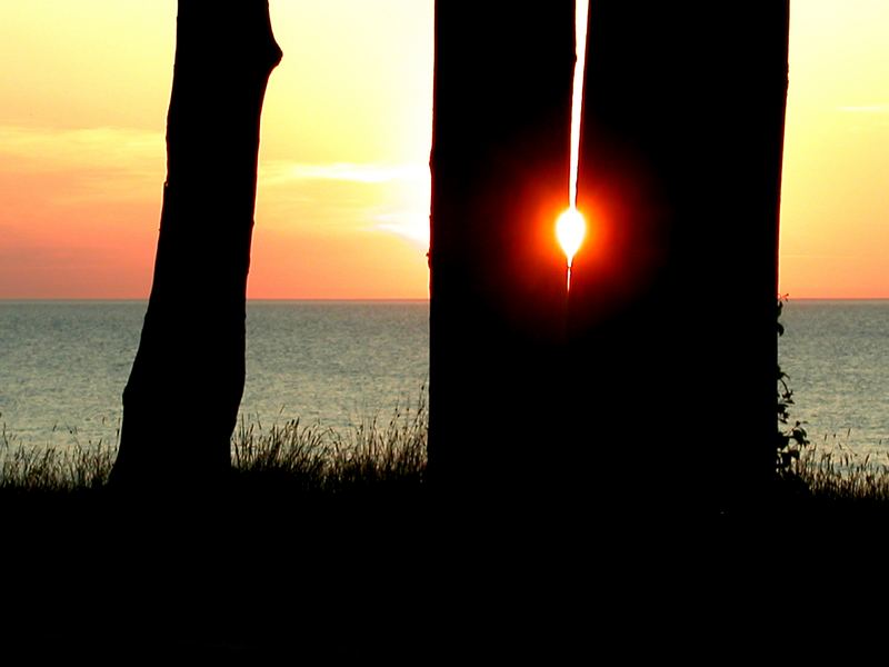 Sonnenuntergang (Ostseebad Nienhagen) ...