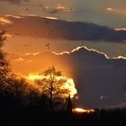 Sonnenuntergang Papenburg