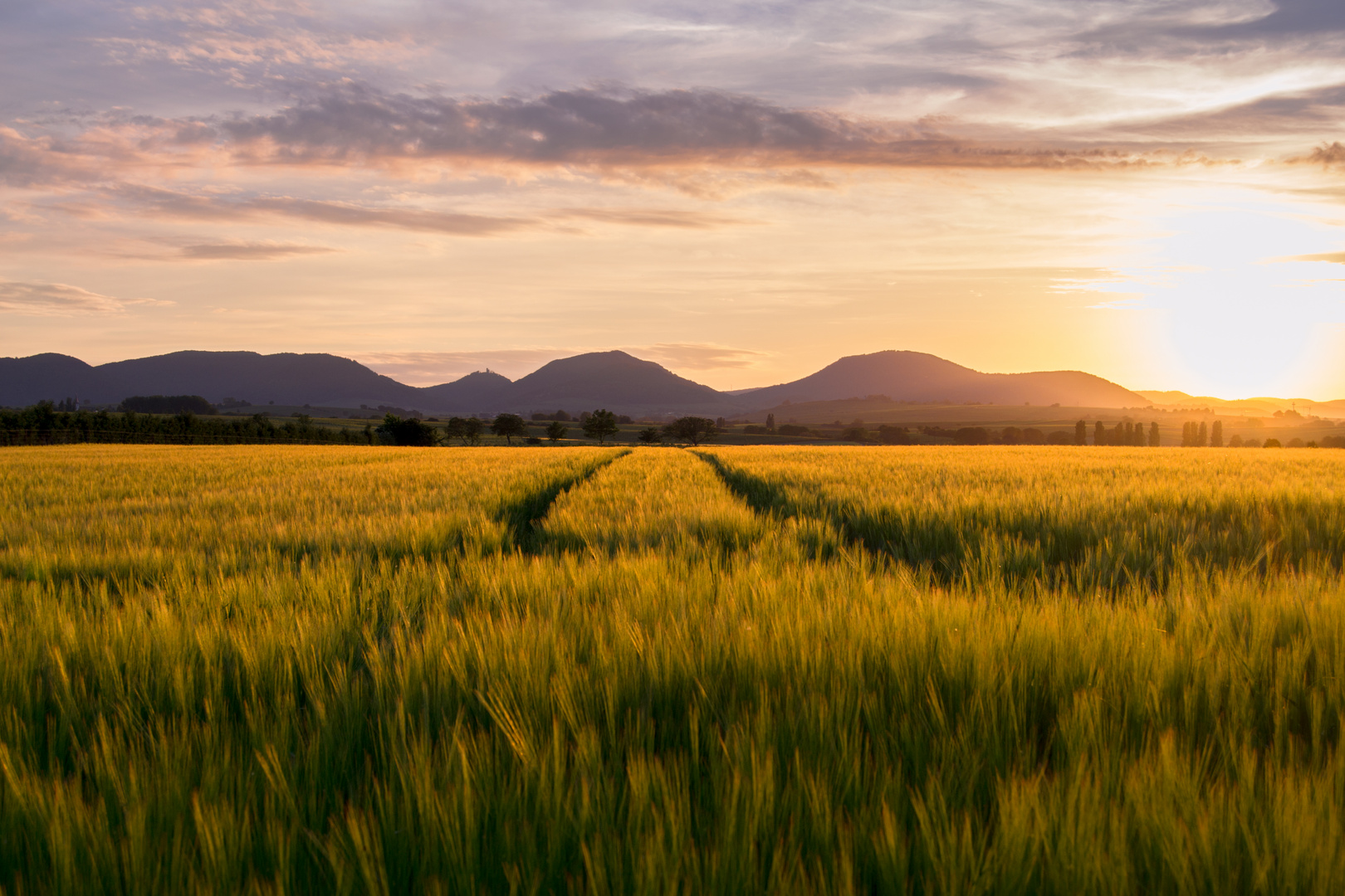 Sonnenuntergang Pfalz