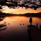 Sonnenuntergang Pörtschach am Wörthersee 