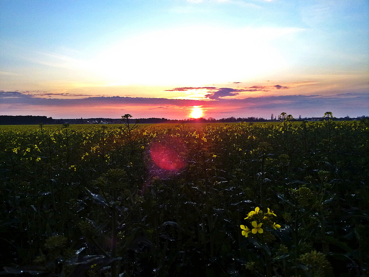 Sonnenuntergang , Regentropfen