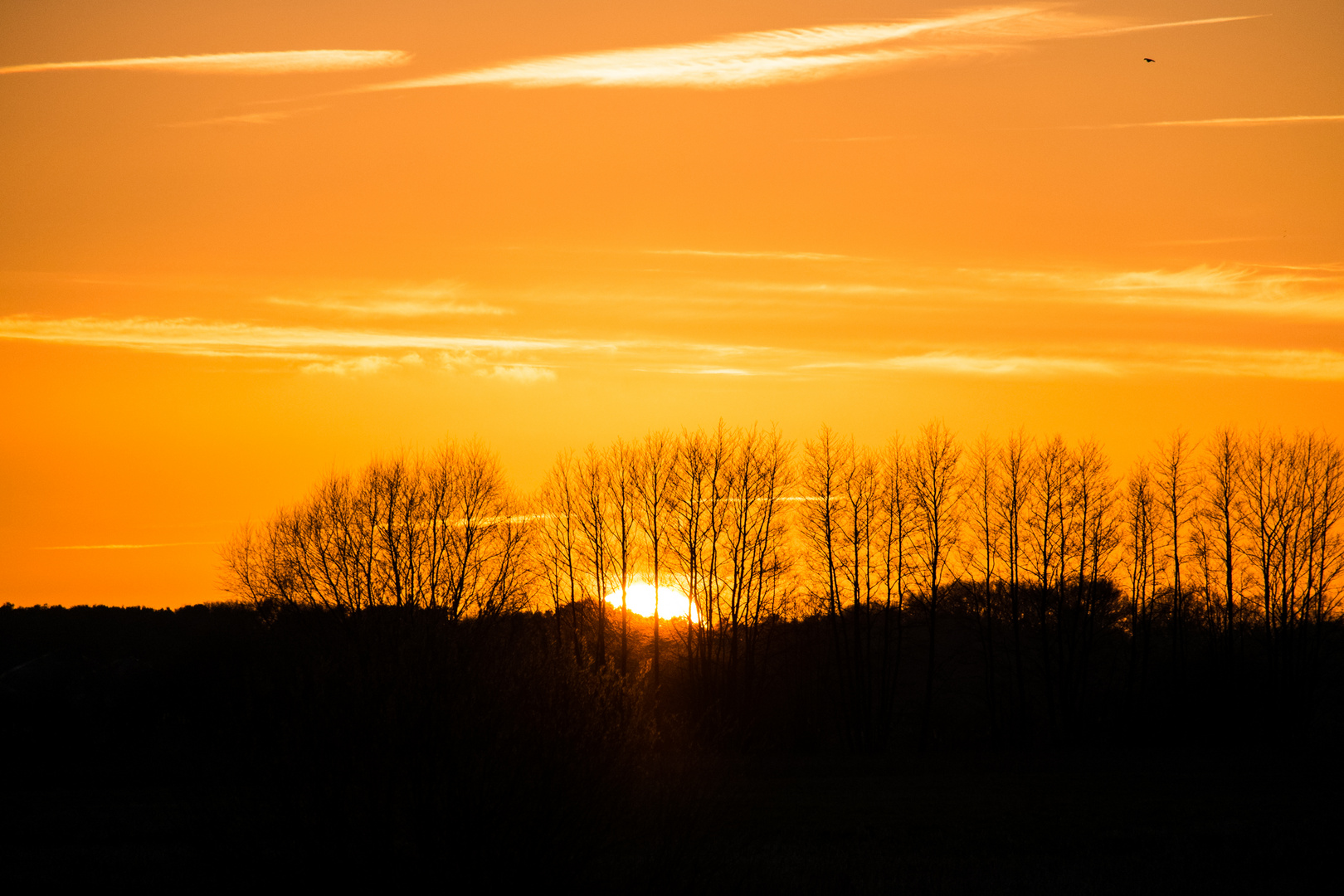 Sonnenuntergang Reigersee