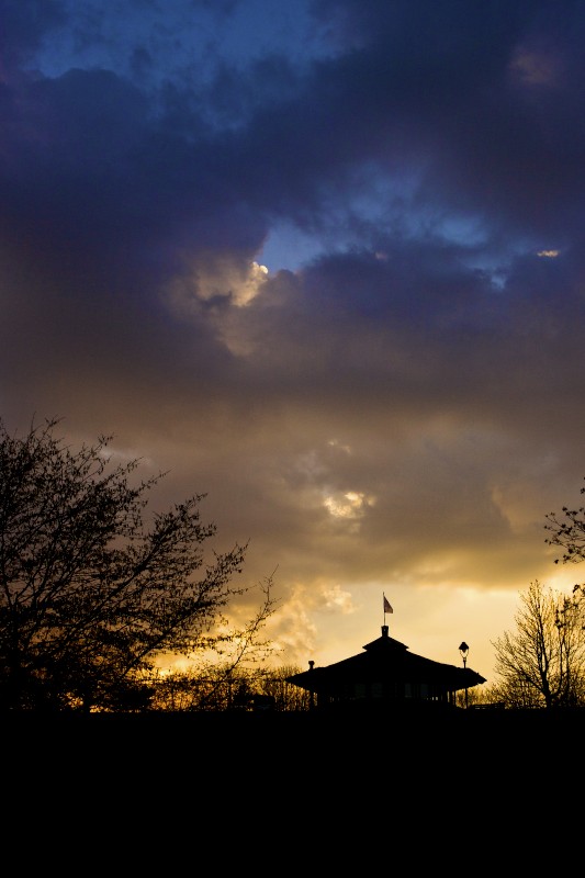 Sonnenuntergang Rheinaue Bonn