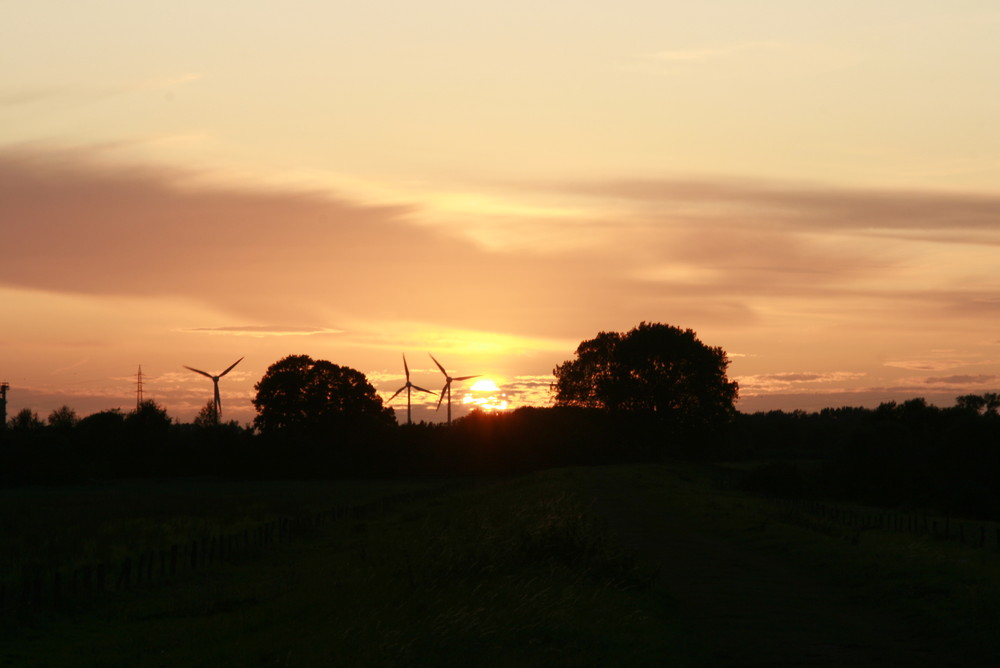 Sonnenuntergang Rheinberg am Rhein