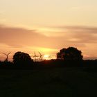 Sonnenuntergang Rheinberg am Rhein