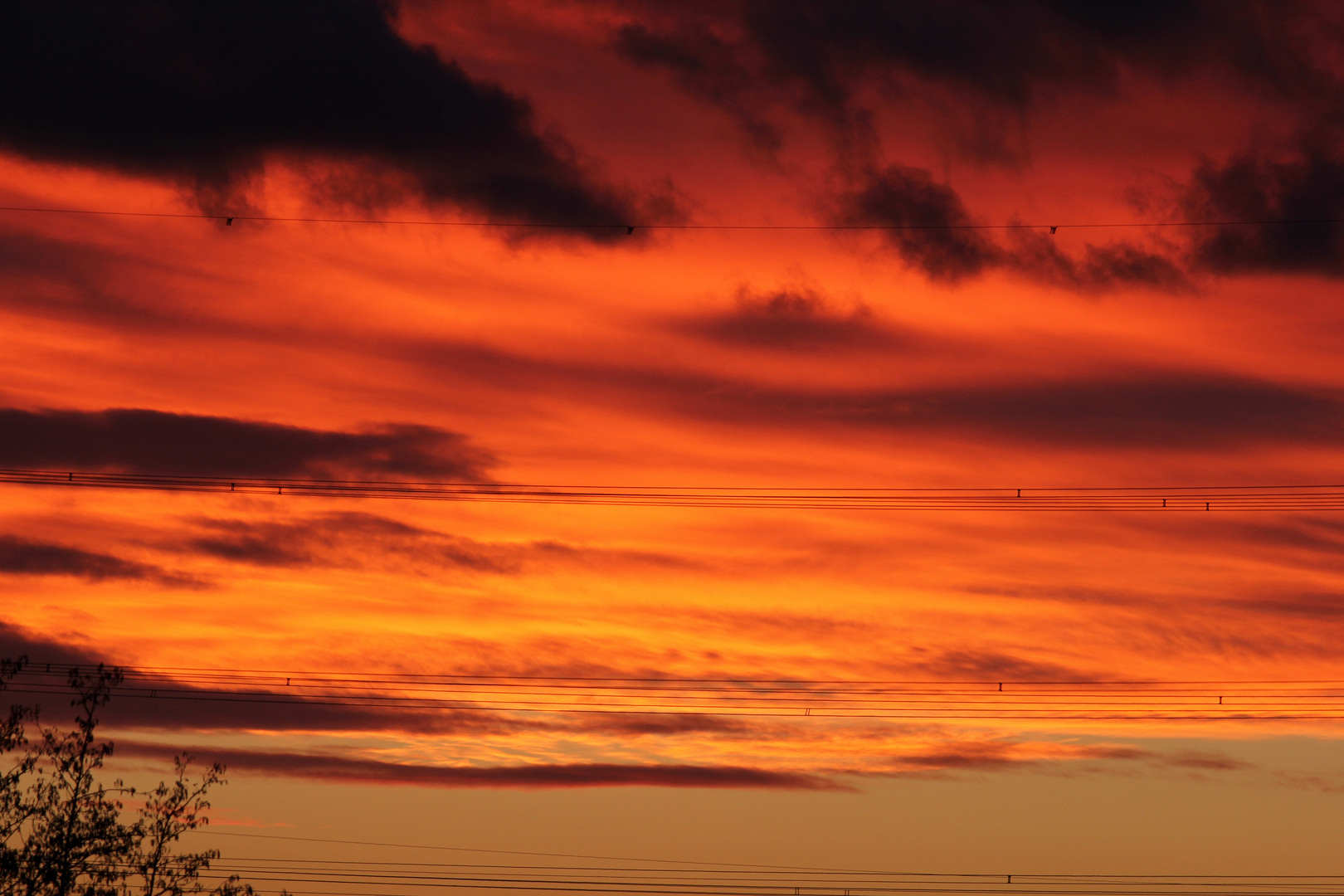 Sonnenuntergang -Rheinhessen-