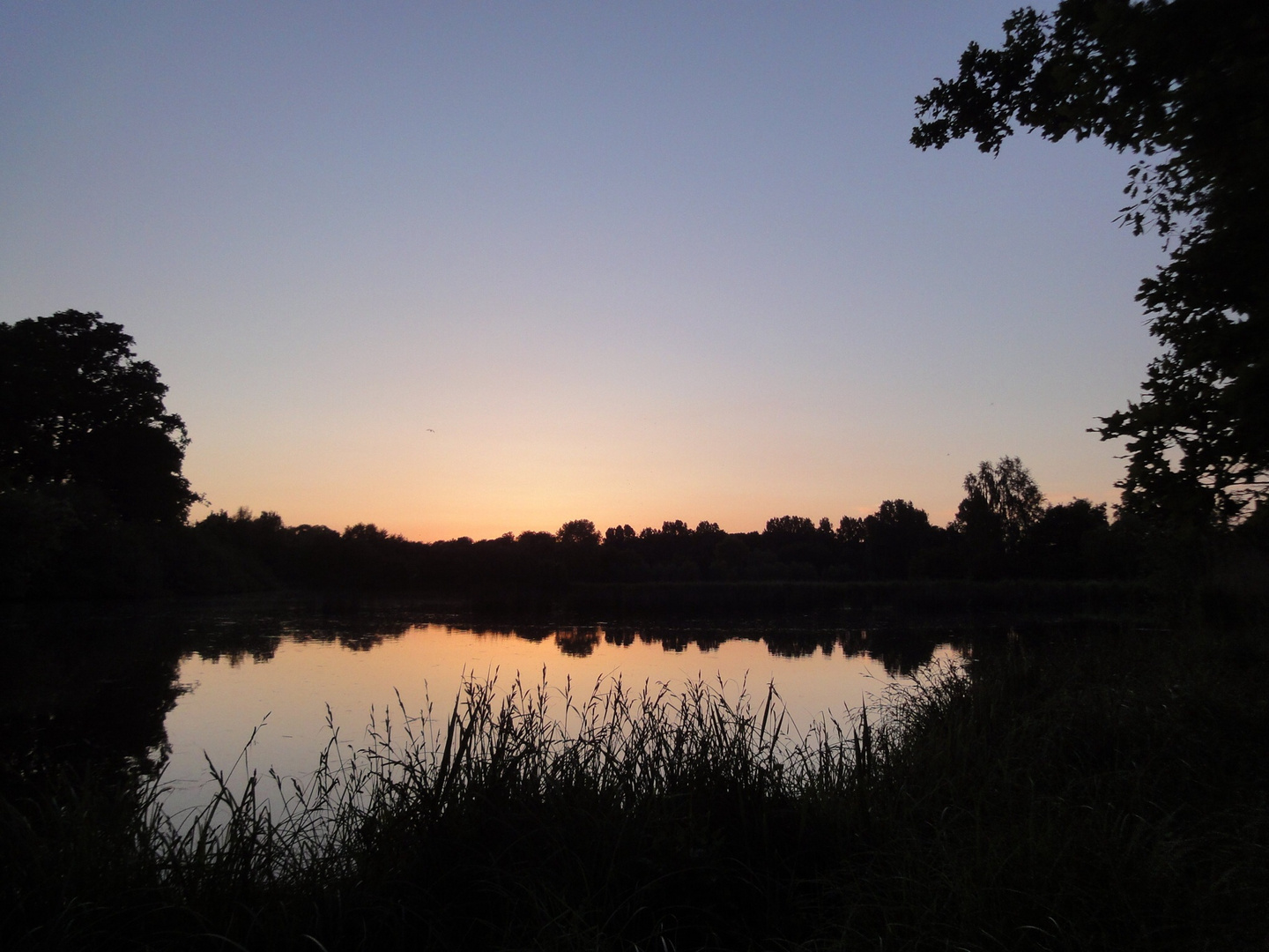 Sonnenuntergang Rieselfeld