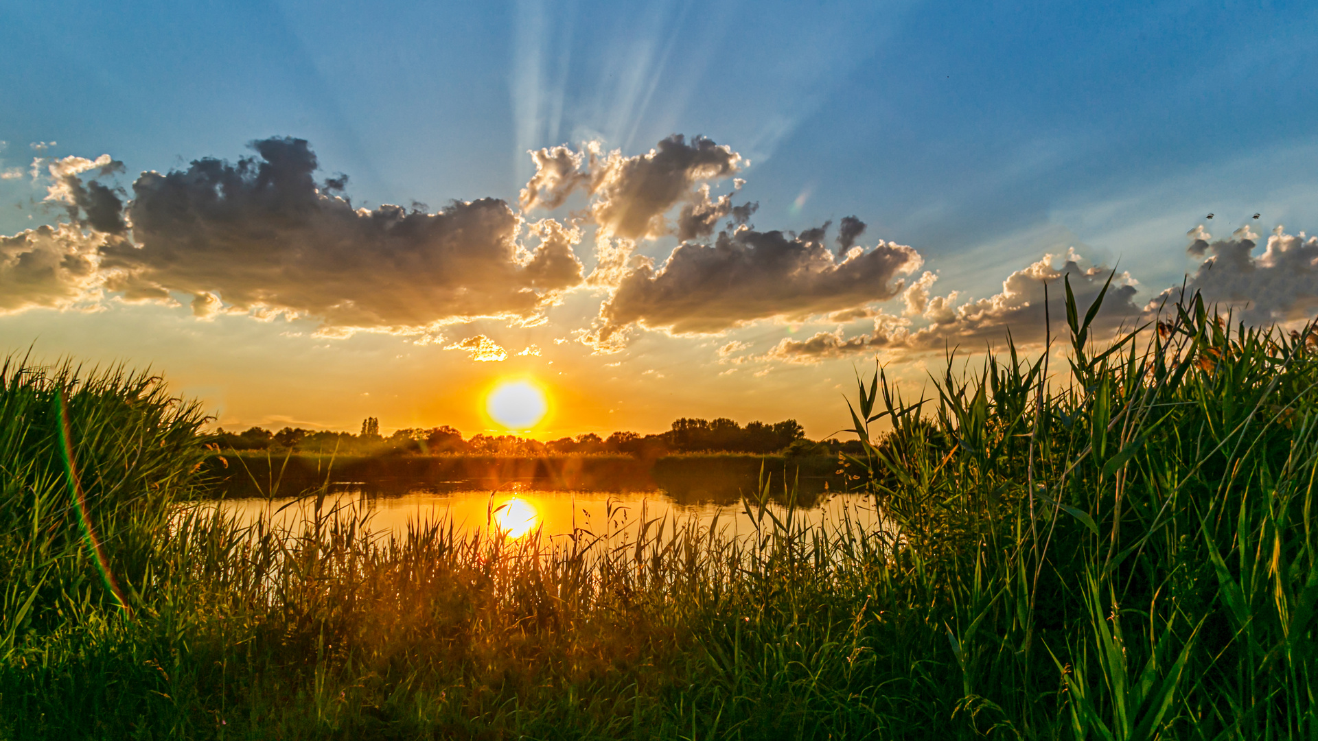 Sonnenuntergang Rieselfelder