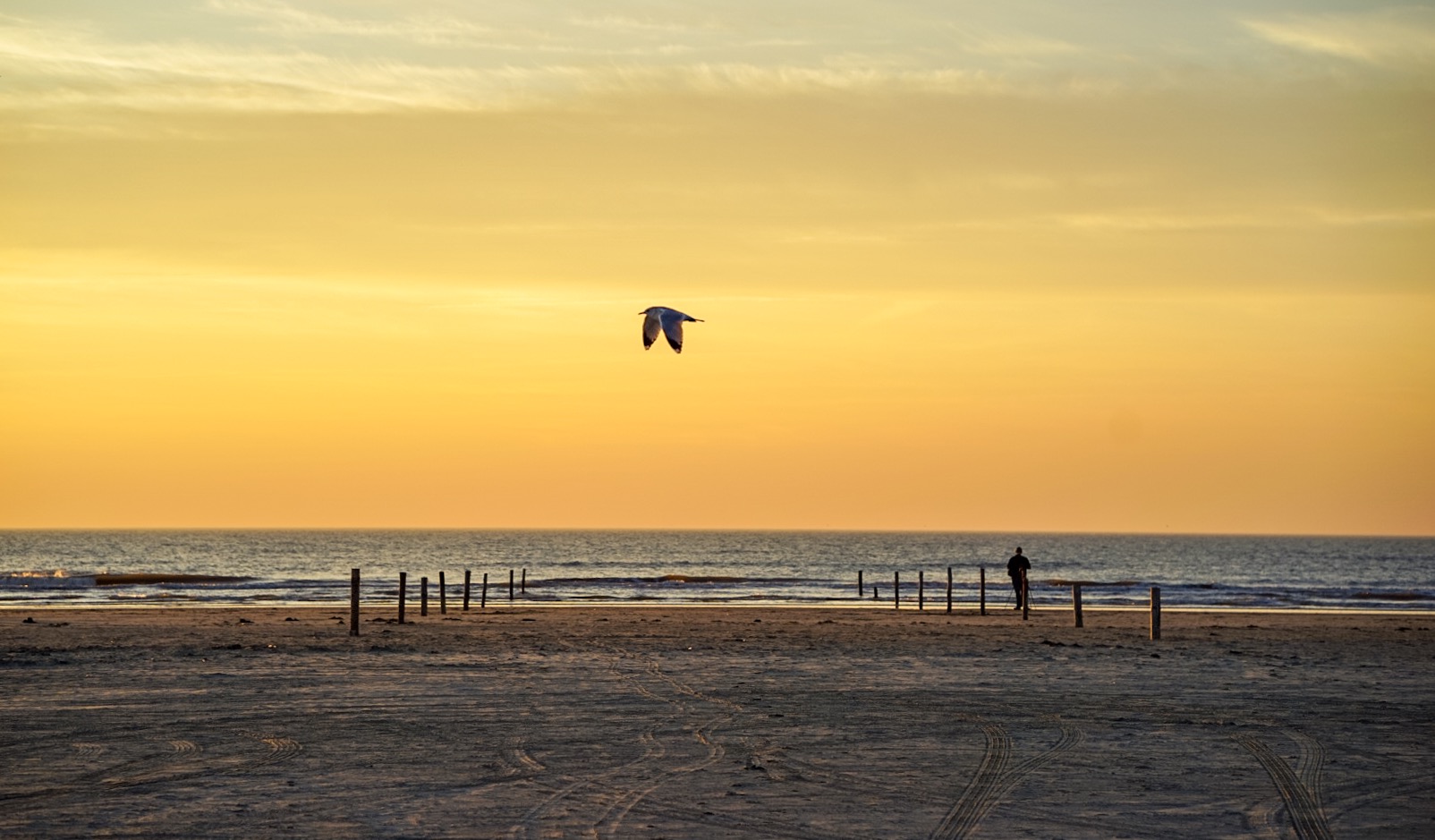 Sonnenuntergang, Römö, Dänemark 