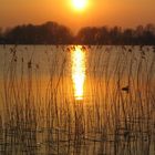 Sonnenuntergang Rotte bei Rotterdam