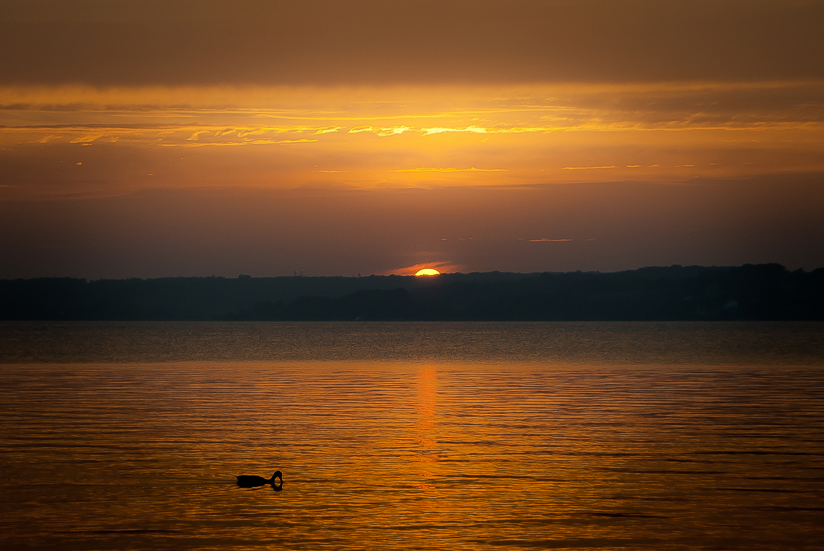 Sonnenuntergang Schausende (Glücksburg) V2