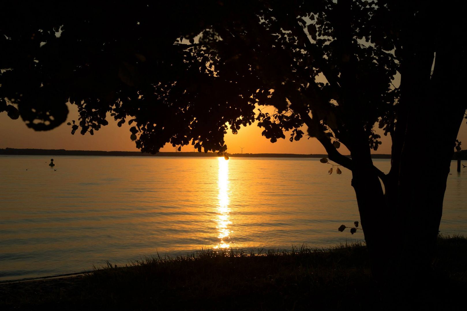 Sonnenuntergang Scherenschnitt