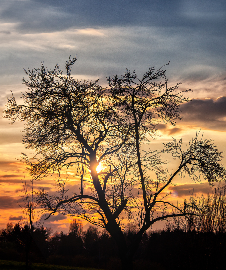 Sonnenuntergang Schiffweiler