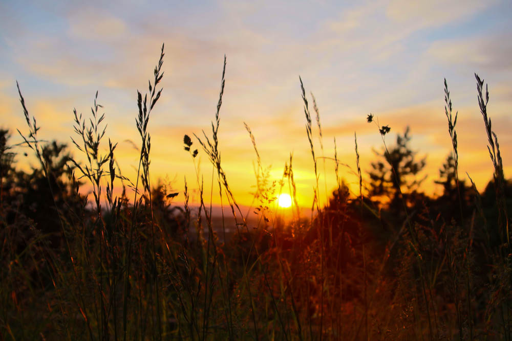 Sonnenuntergang Schlossberg II