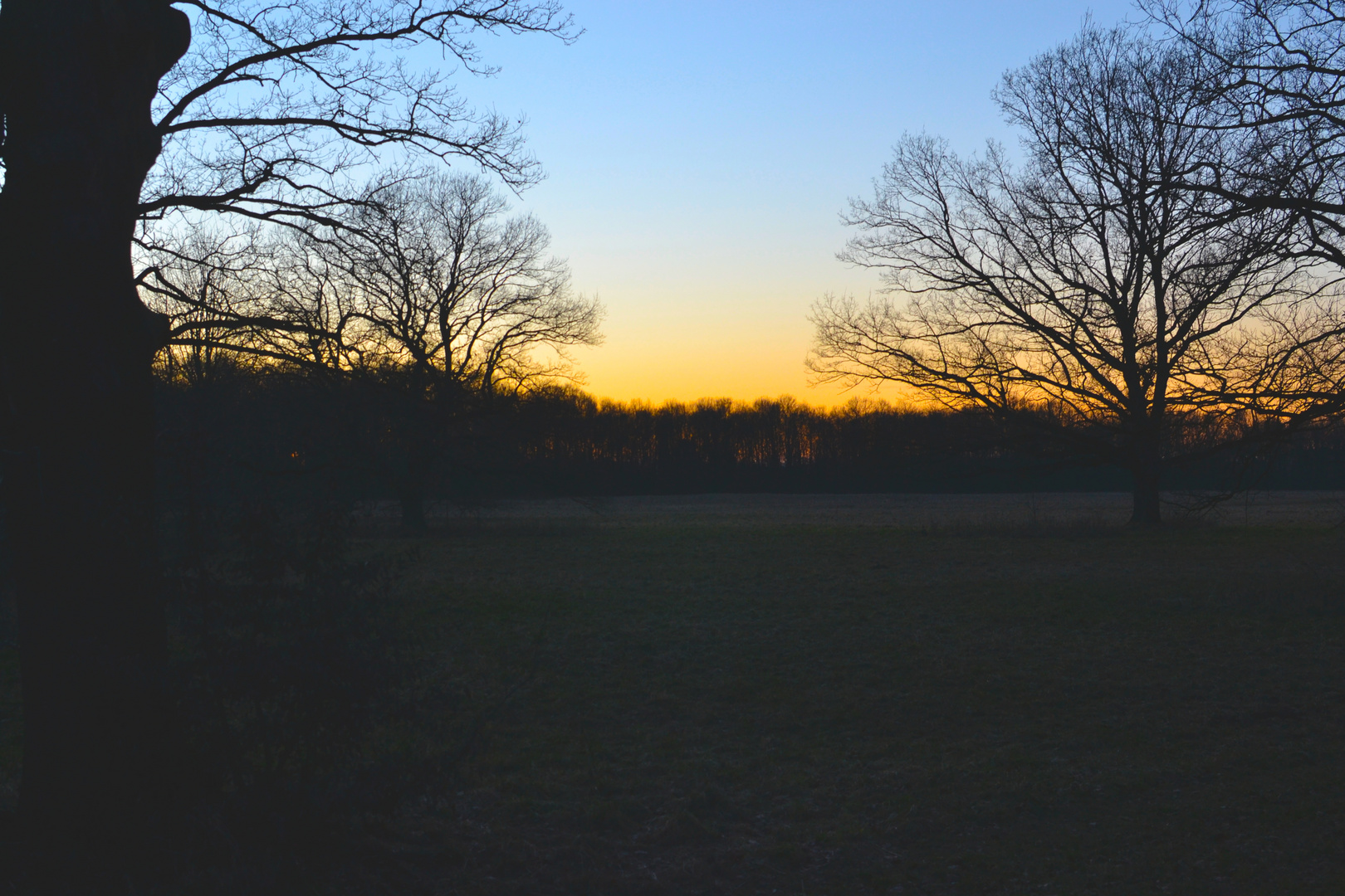 Sonnenuntergang Schlosspark