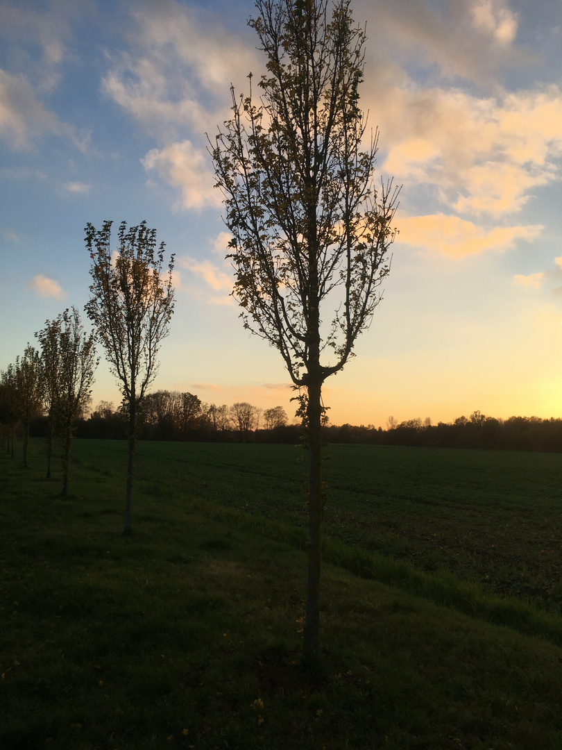 Sonnenuntergang Schlüterstraße