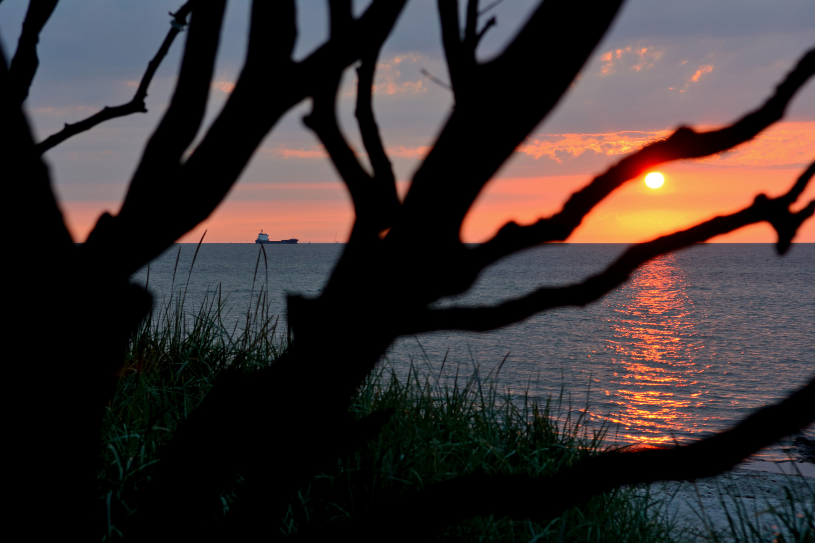 Sonnenuntergang Schwarzer Busch