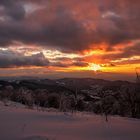 SONNENUNTERGANG SCHWARZWALD.