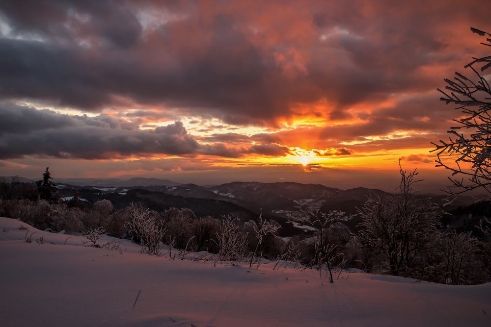 SONNENUNTERGANG SCHWARZWALD.