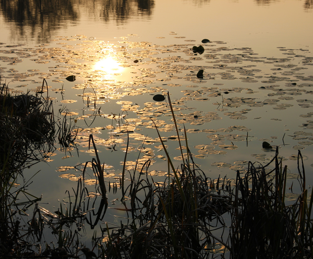 Sonnenuntergang See 1