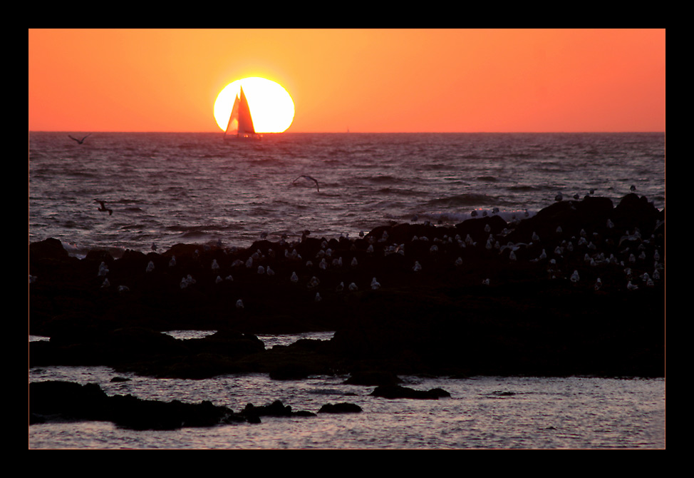 Sonnenuntergang, Segelboot und Möwen