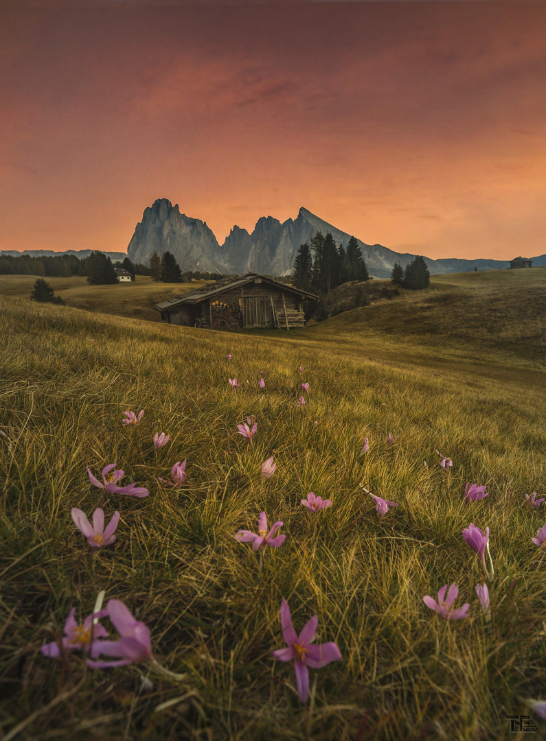 Sonnenuntergang Seiser Alm (Dolomiten/ Italien)