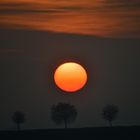 Sonnenuntergang - Serie 11