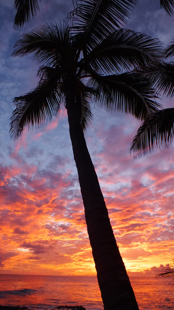 Sonnenuntergang - Silver Sands Barbados