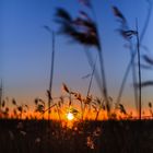 Sonnenuntergang Sim Reed an der Nordsee