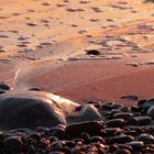 Sonnenuntergang Skagen