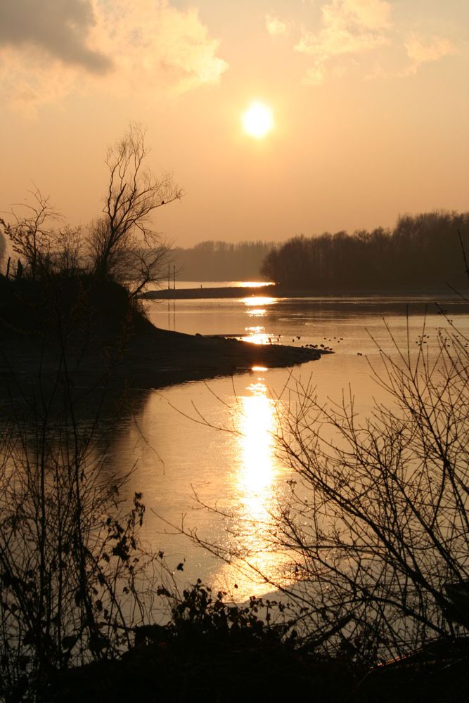 Sonnenuntergang Speyer Altrhein